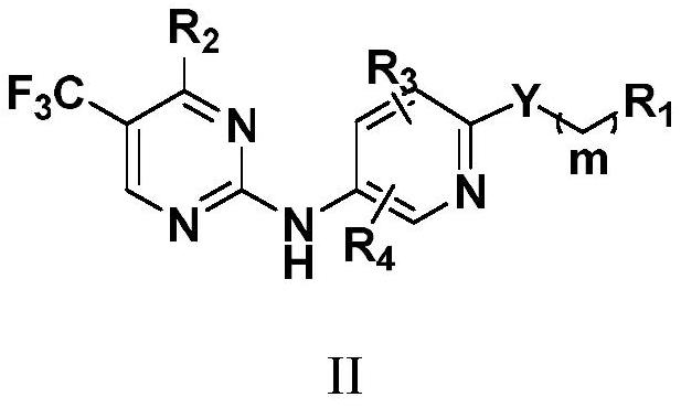 N2-substituted alkoxy aromatic cyclo-2-aminopyrimidine derivative and application thereof