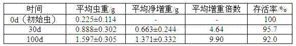 Semi-artificial feed for anoplophora chinensis larvae and artificial feeding method