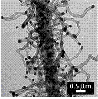 Preparation of carbon nano fiber composite material coated by nitrogen-doped carbon nanotube and application thereof