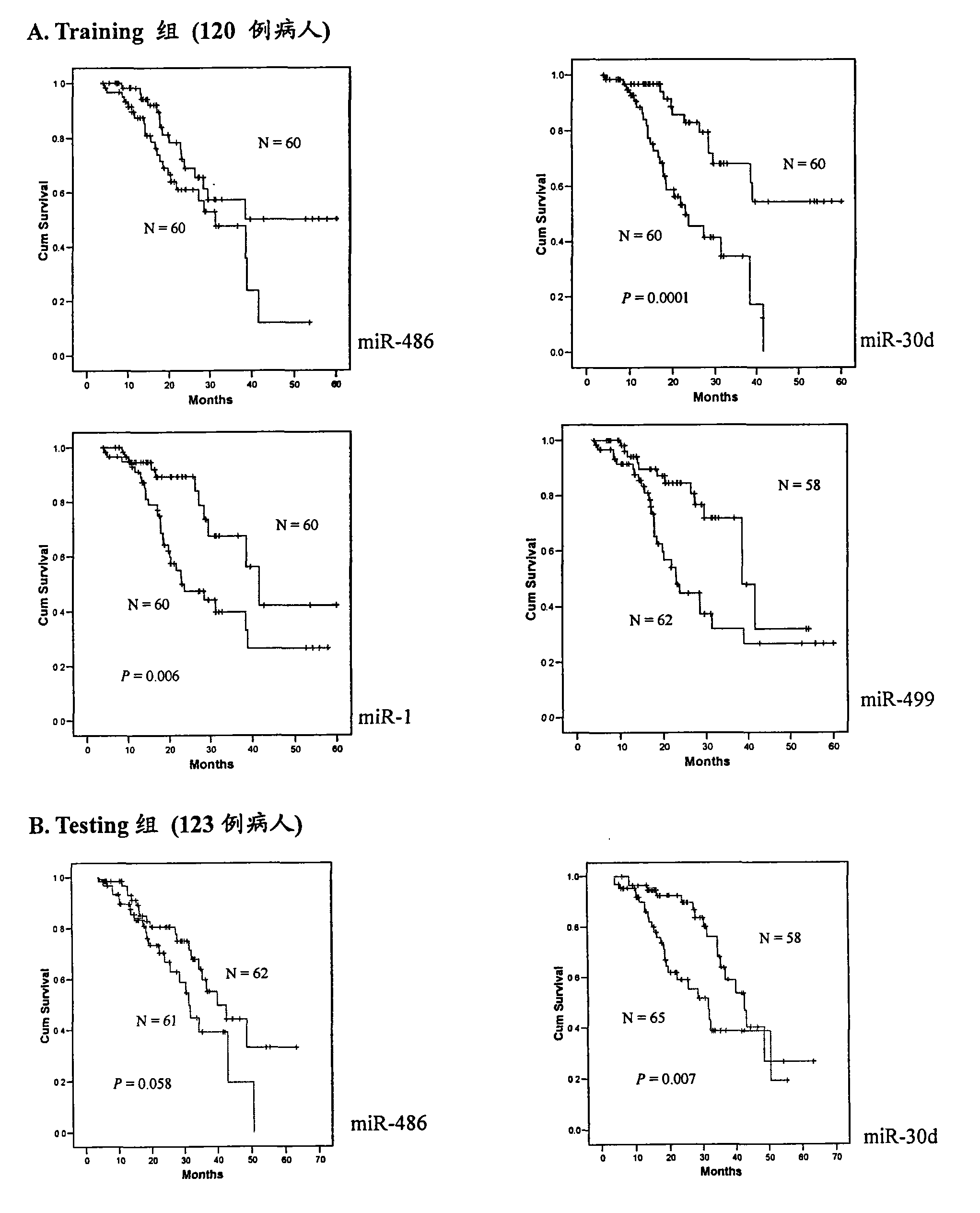 Blood serum/blood plasma miRNA marker related to non-small cell lung cancer (SCLC) prognosis and application thereof