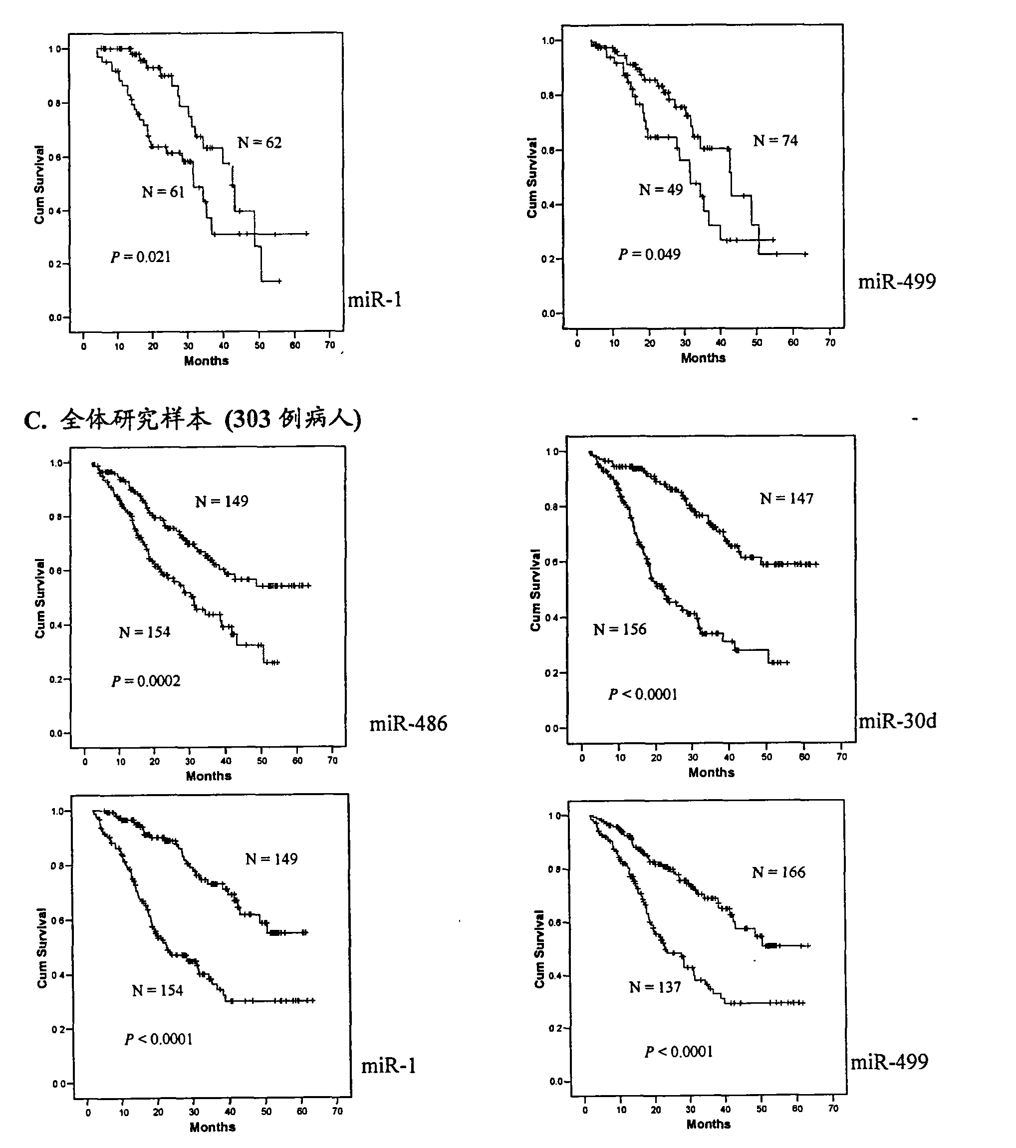 Blood serum/blood plasma miRNA marker related to non-small cell lung cancer (SCLC) prognosis and application thereof