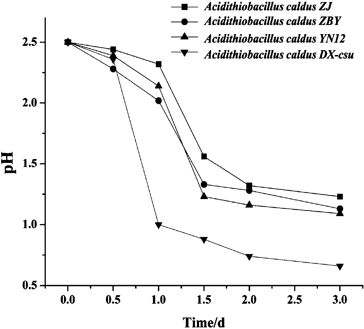 Strain of Acidithiobacillus caldus and culture medium and culture method thereof