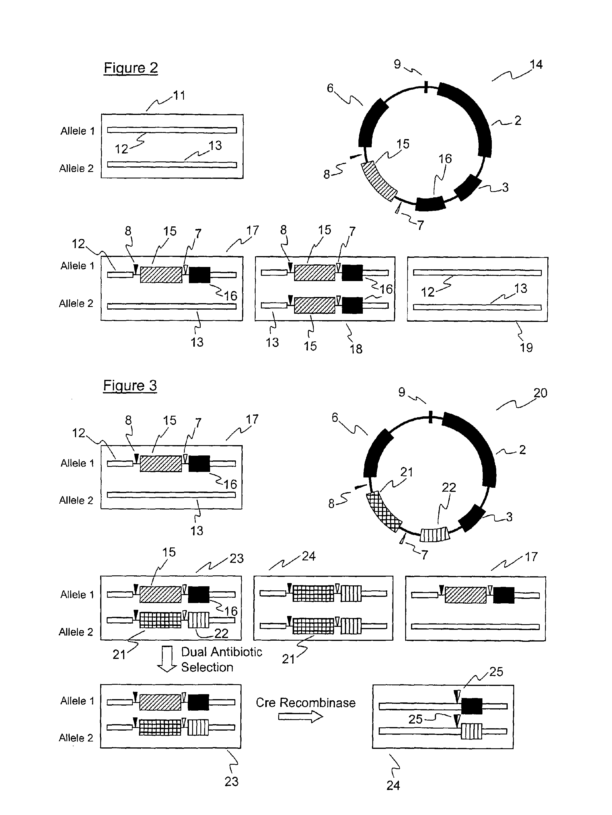 Genetic reference materials