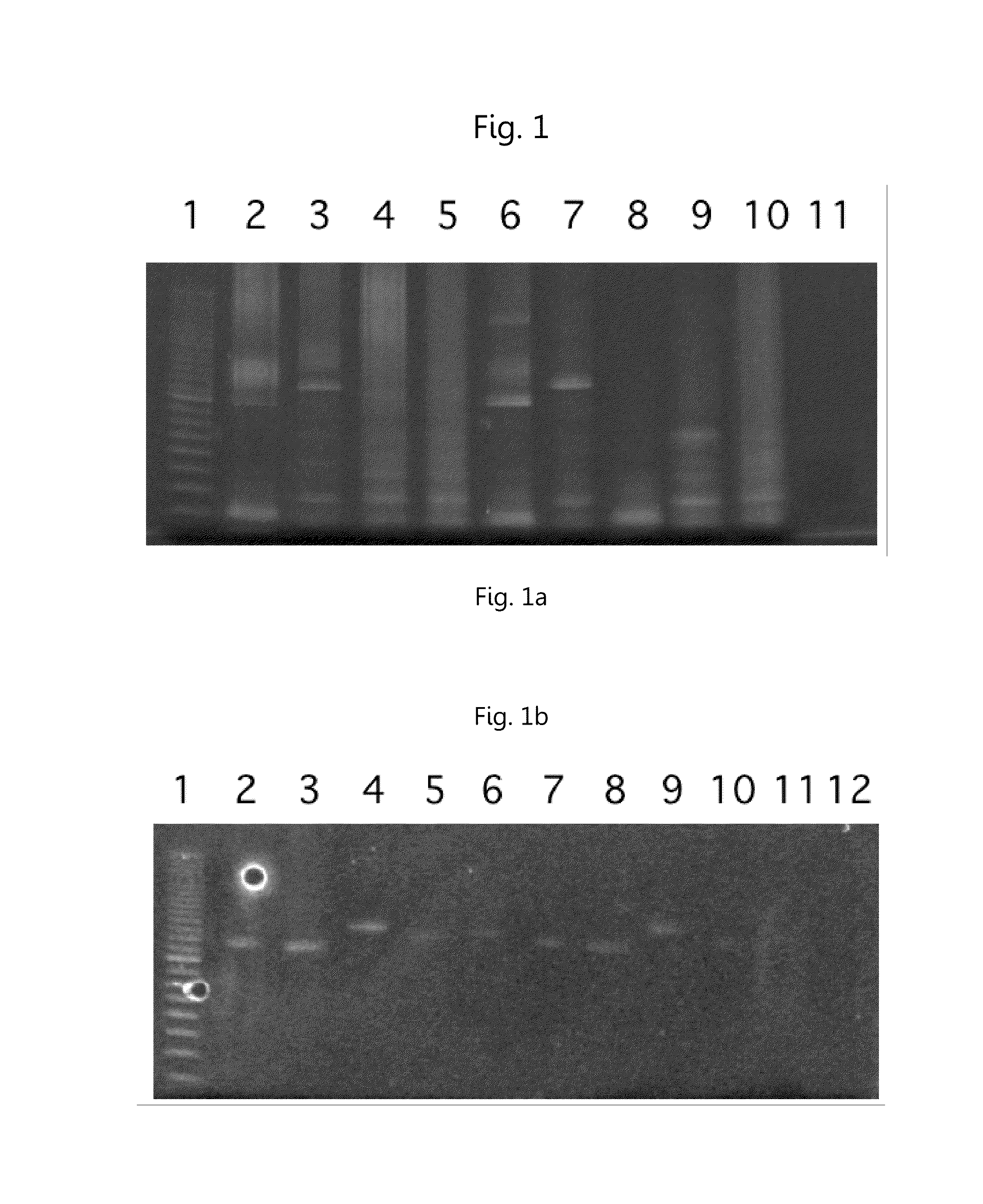 Method for Evaluating and Comparing Immunorepertoires