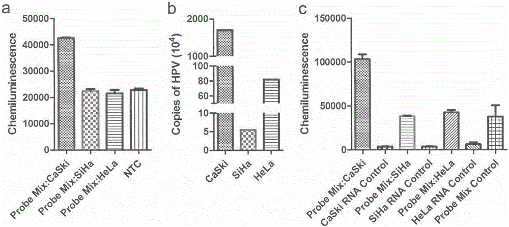 Non-amplification nucleic acid hybrid capture system and application thereof in nucleic acid test