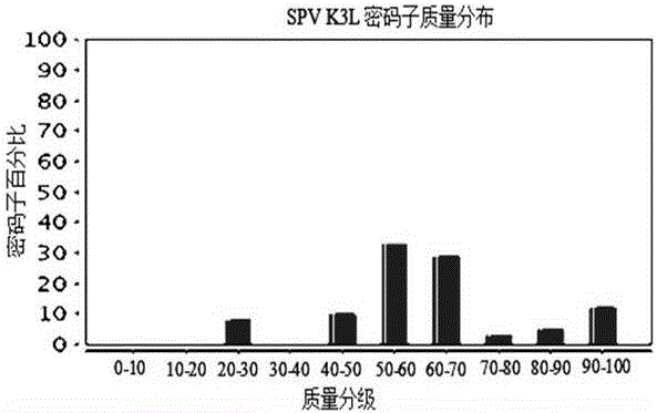 Anti-sheeppox virus K3L protein C-terminal monoclonal antibody and application thereof