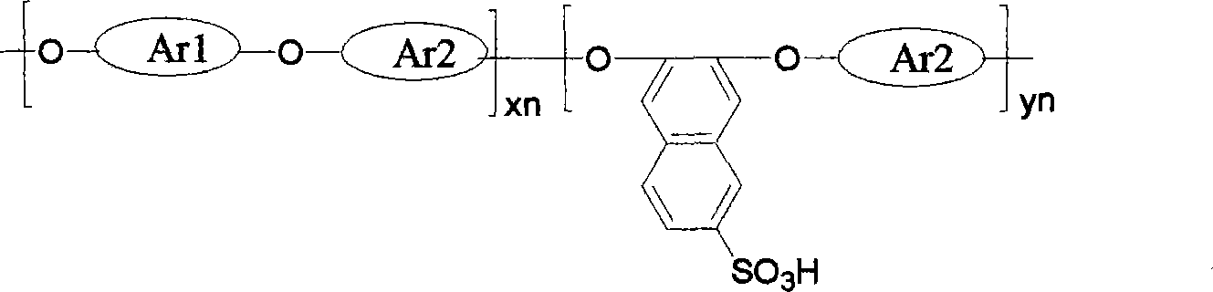 Sulfonated polyarylether with sulfonic group at side chain naphthalene ring and preparation method thereof