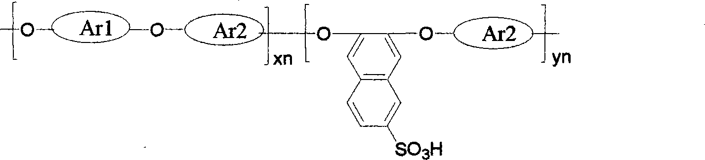 Sulfonated polyarylether with sulfonic group at side chain naphthalene ring and preparation method thereof