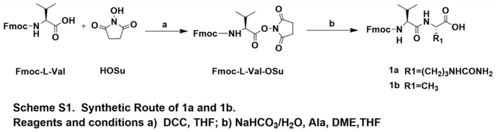 A class of anti-human EGFR antibody drug conjugates and its preparation method and application