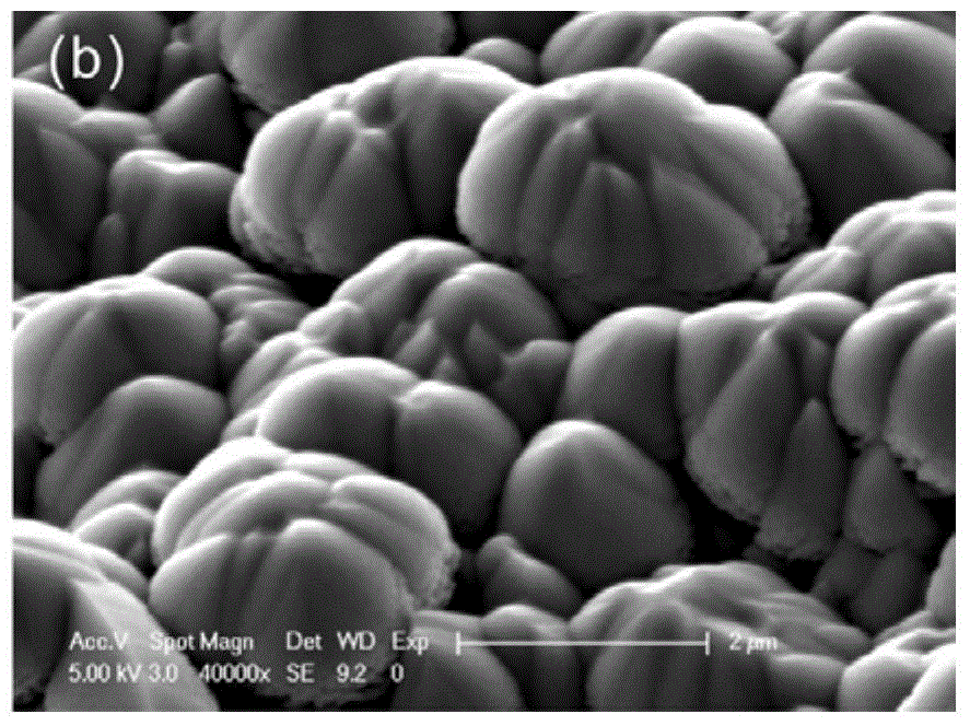 Preparation method of high-performance lithium-ion battery based on three-dimensional graphene scaffold structure