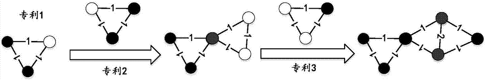 Network construction and evolution method based on weighting technique