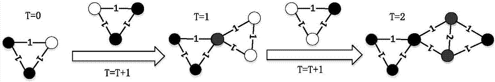 Network construction and evolution method based on weighting technique