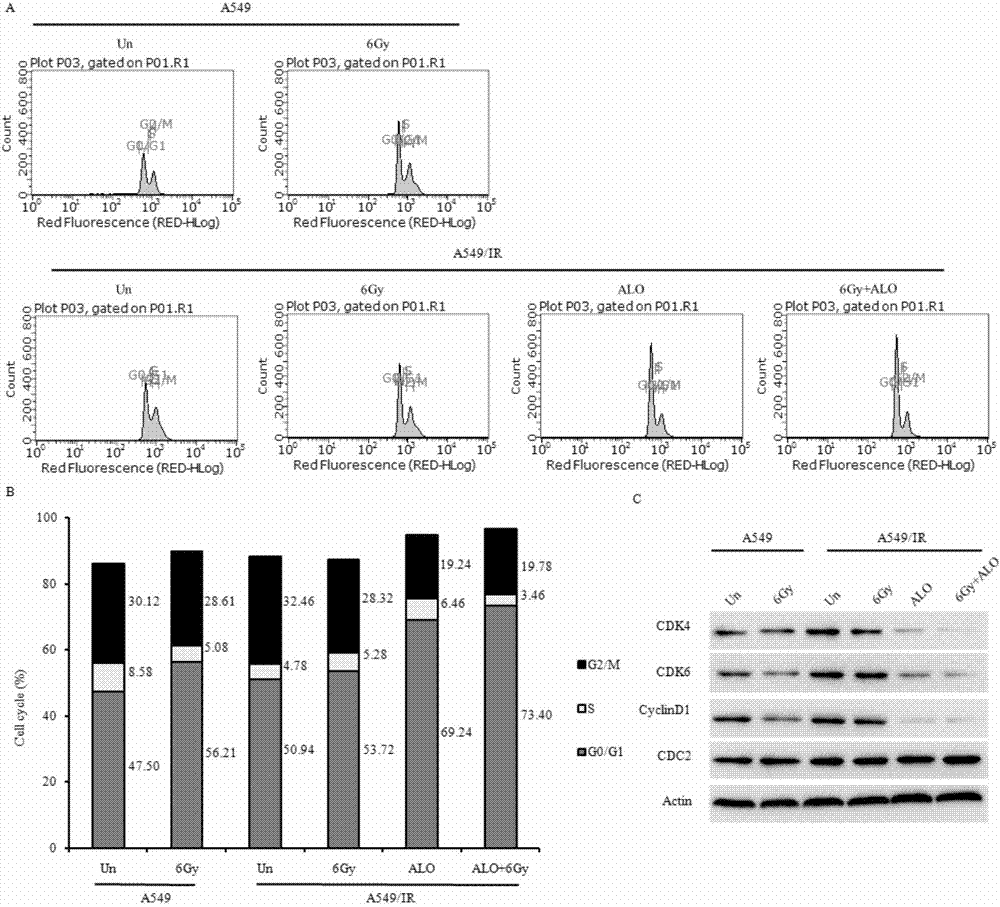 Application of aloperine to preparation of radiotherapeutic sensitizer for lung cancer