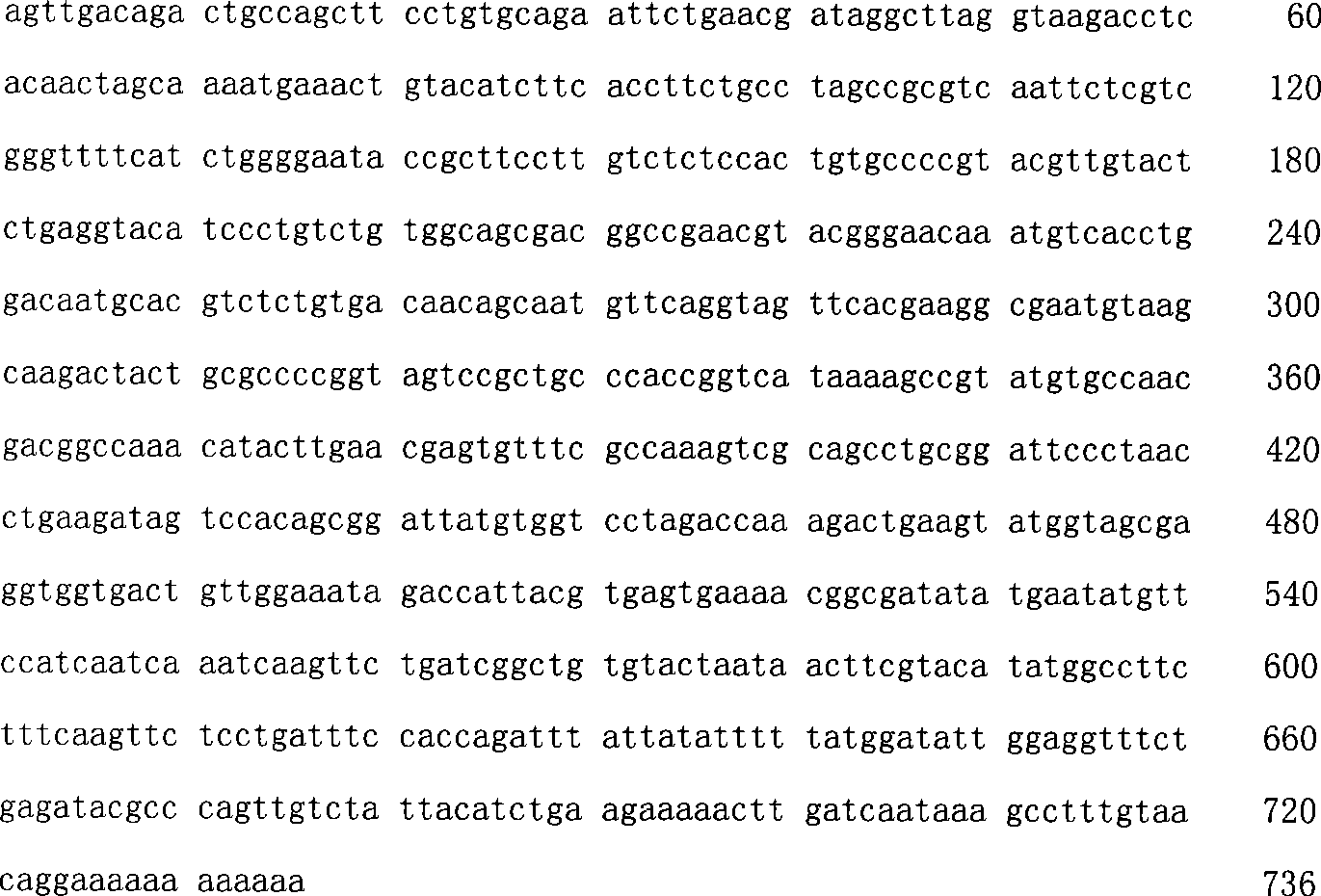 Uses of MRPINK in restraining liveness of Macrobracium rosenbergii spermatozoon