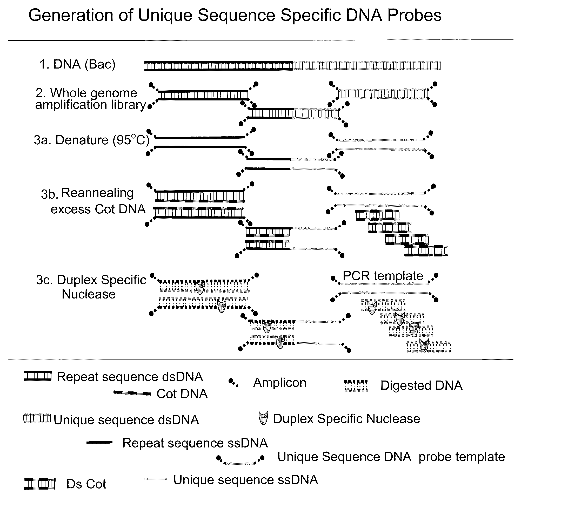 METHOD FOR DETECTING IGF1R/Chr 15 in CIRCULATING TUMOR CELLS USING FISH