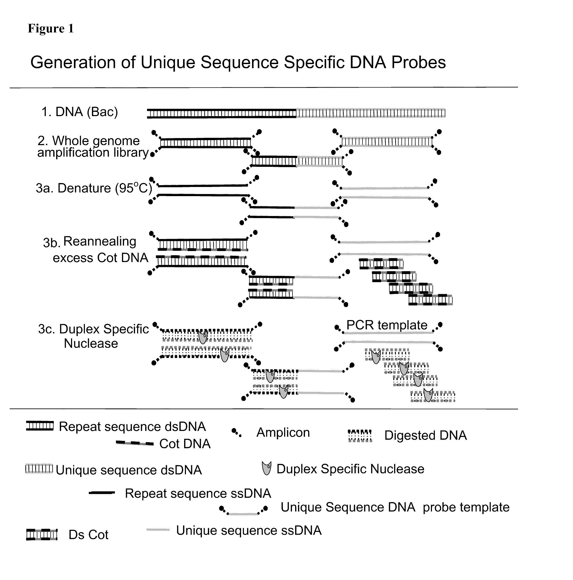 METHOD FOR DETECTING IGF1R/Chr 15 in CIRCULATING TUMOR CELLS USING FISH