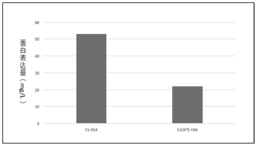 New coronavirus antigen and preparation method and application thereof