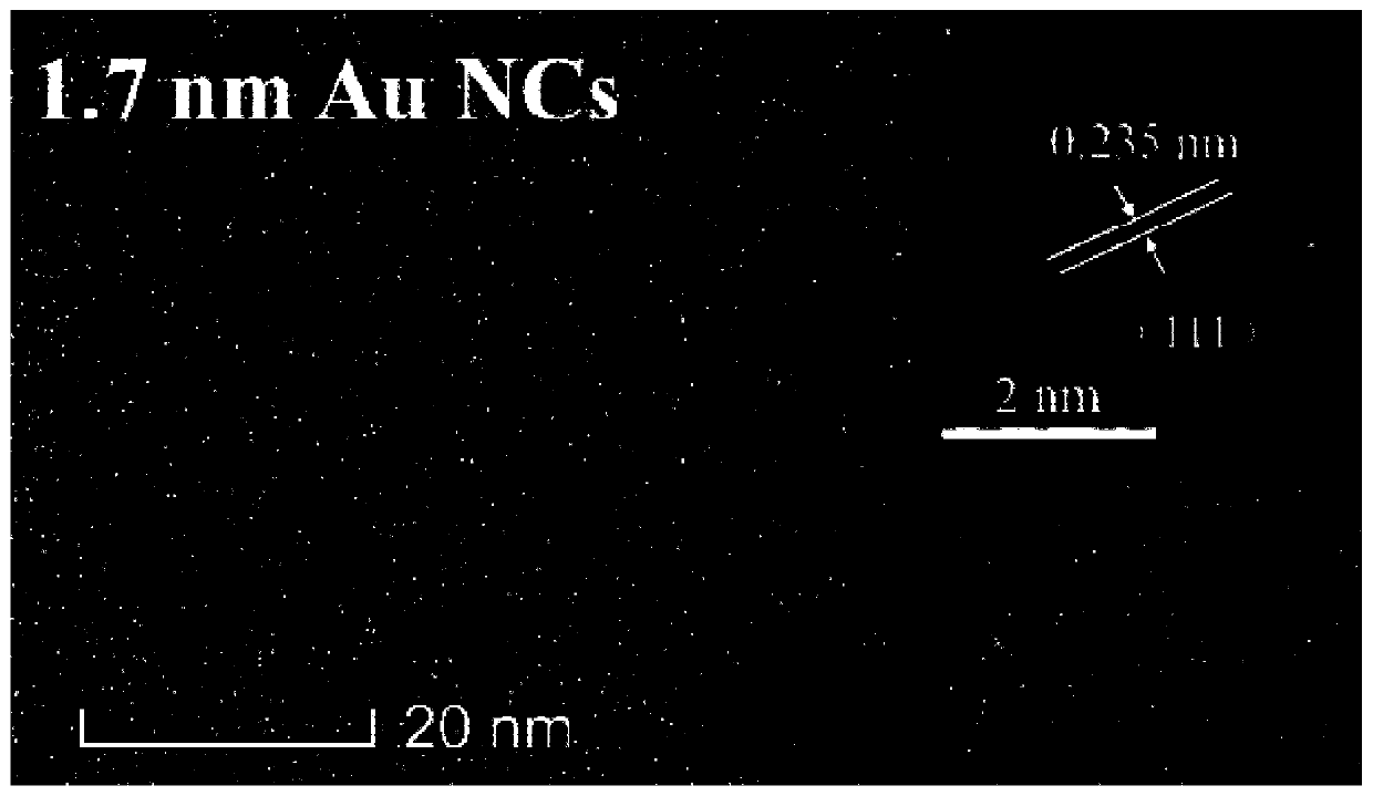 Preparation method of fluorescent reinforced metal nano cluster/zeolite imidazate framework composite nano material and application thereof