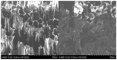 Preparation method of bio-based rigid foam material with negative Poisson's ratio and product