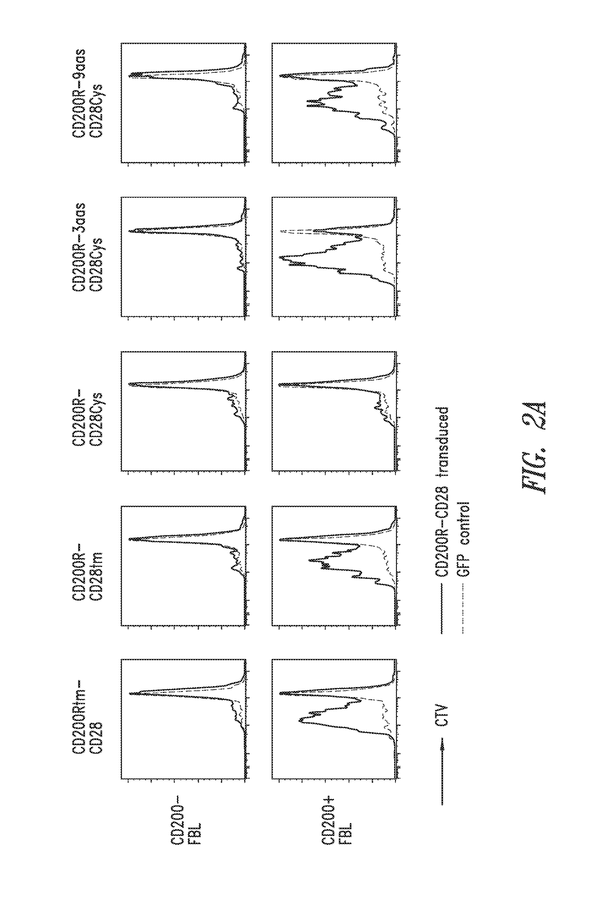 Immunomodulatory fusion proteins and uses thereof