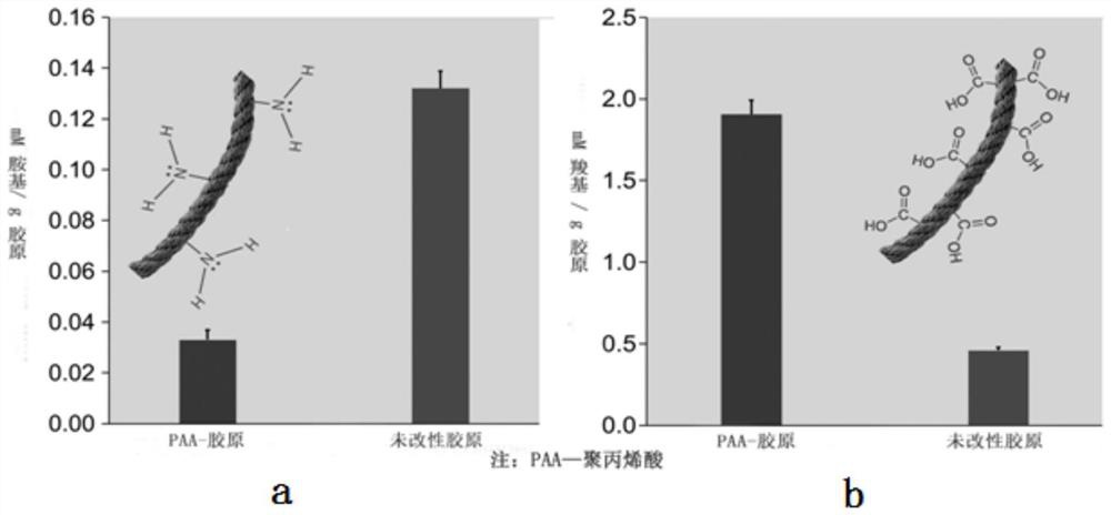 Biomimetic mineralization material in a polyanion modified fiber, preparation method and application