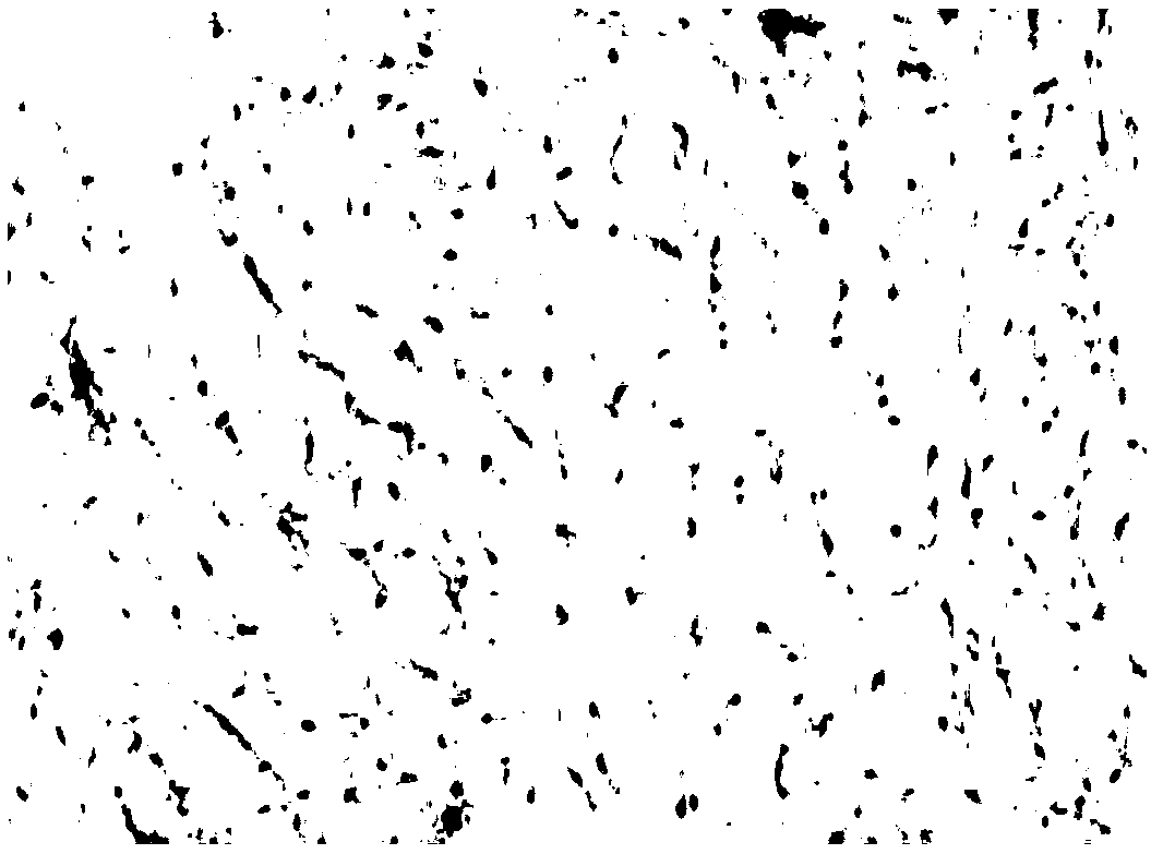 Method and application for systematically freezing and storing human umbilical cord tissues according to structure levels