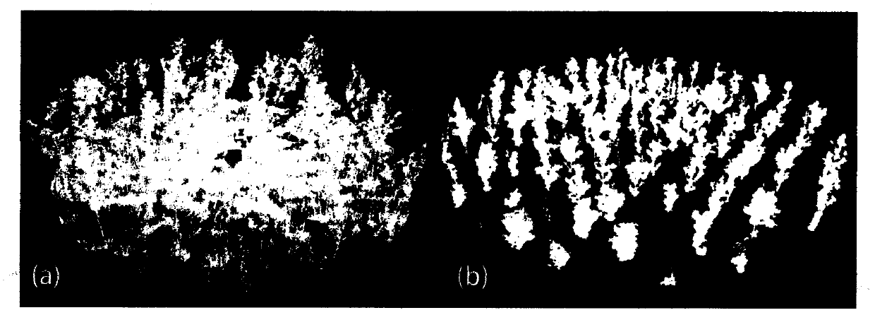 Method for quantitatively describing forest clustering effect through three-dimensional point cloud data