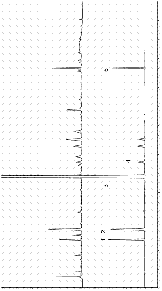 Fingerprint spectrum detection method of Zhenju anti-hypertension tablets and application thereof