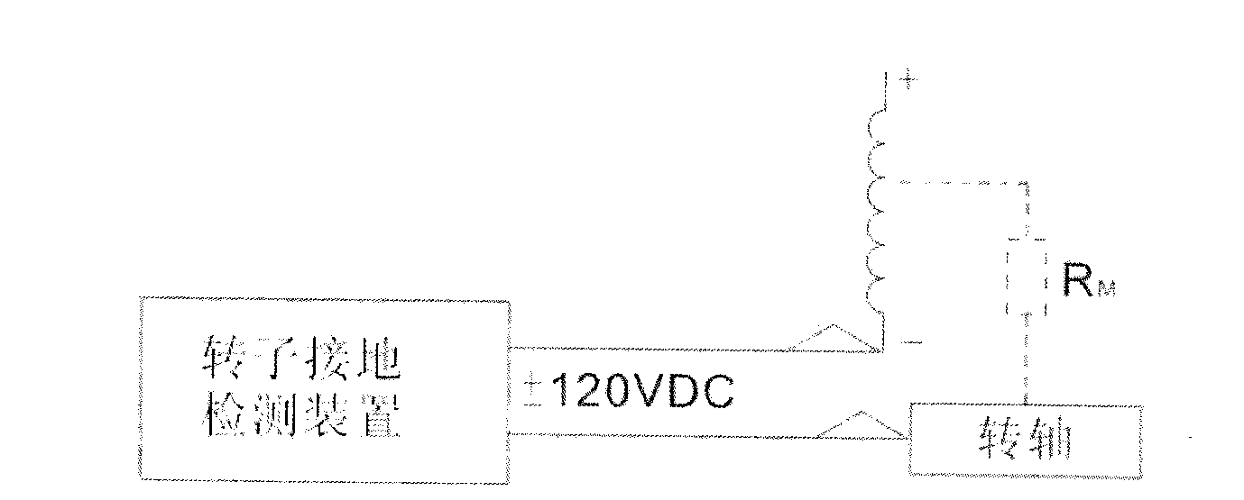 Rotor grounding detection device