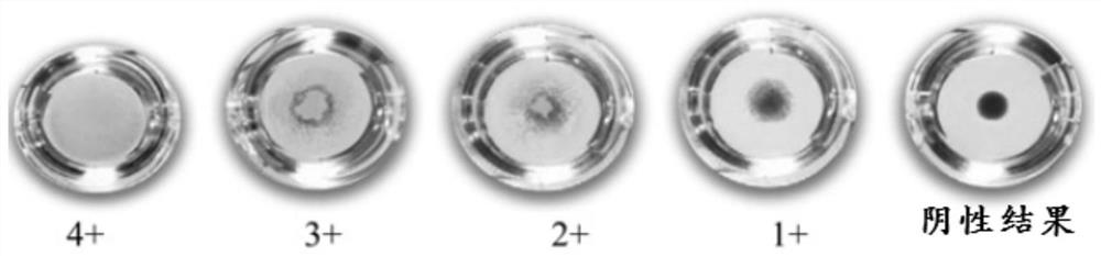 Method and system for detecting whether incomplete antibodies exist on surfaces of red blood cells and application thereof