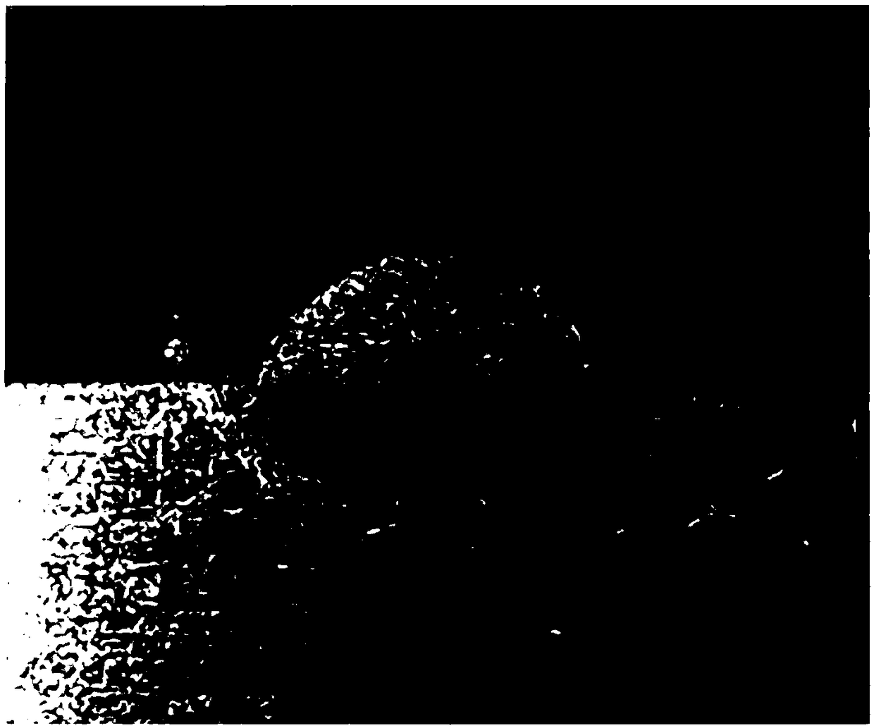 Temperature prediction based control method for precise forming of laser cladding thin-walled workpiece