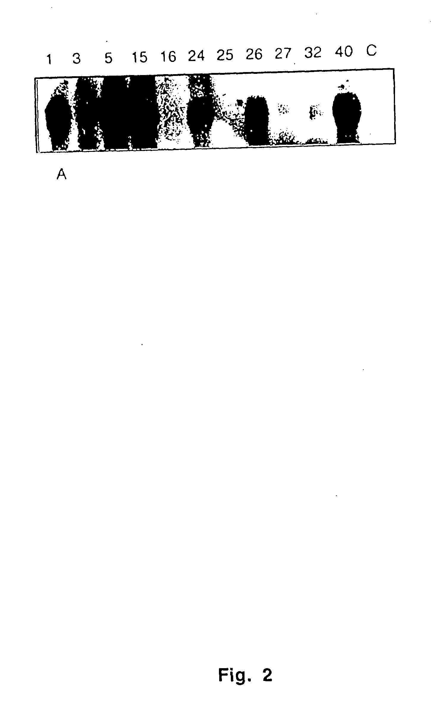 Regulating metabolism by modifying the level of trehalose-6-phosphate