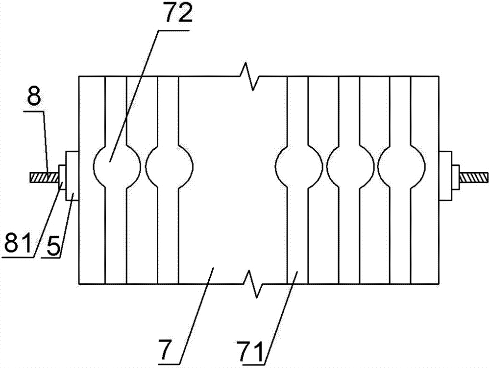 Grafting and cultivating method for kiwifruit