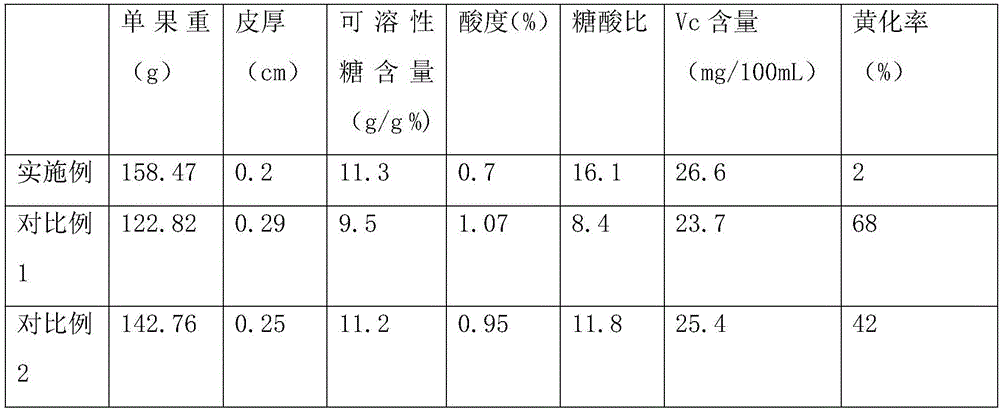 Fertilization method for improving citrus orchard soil and improving citrus quality