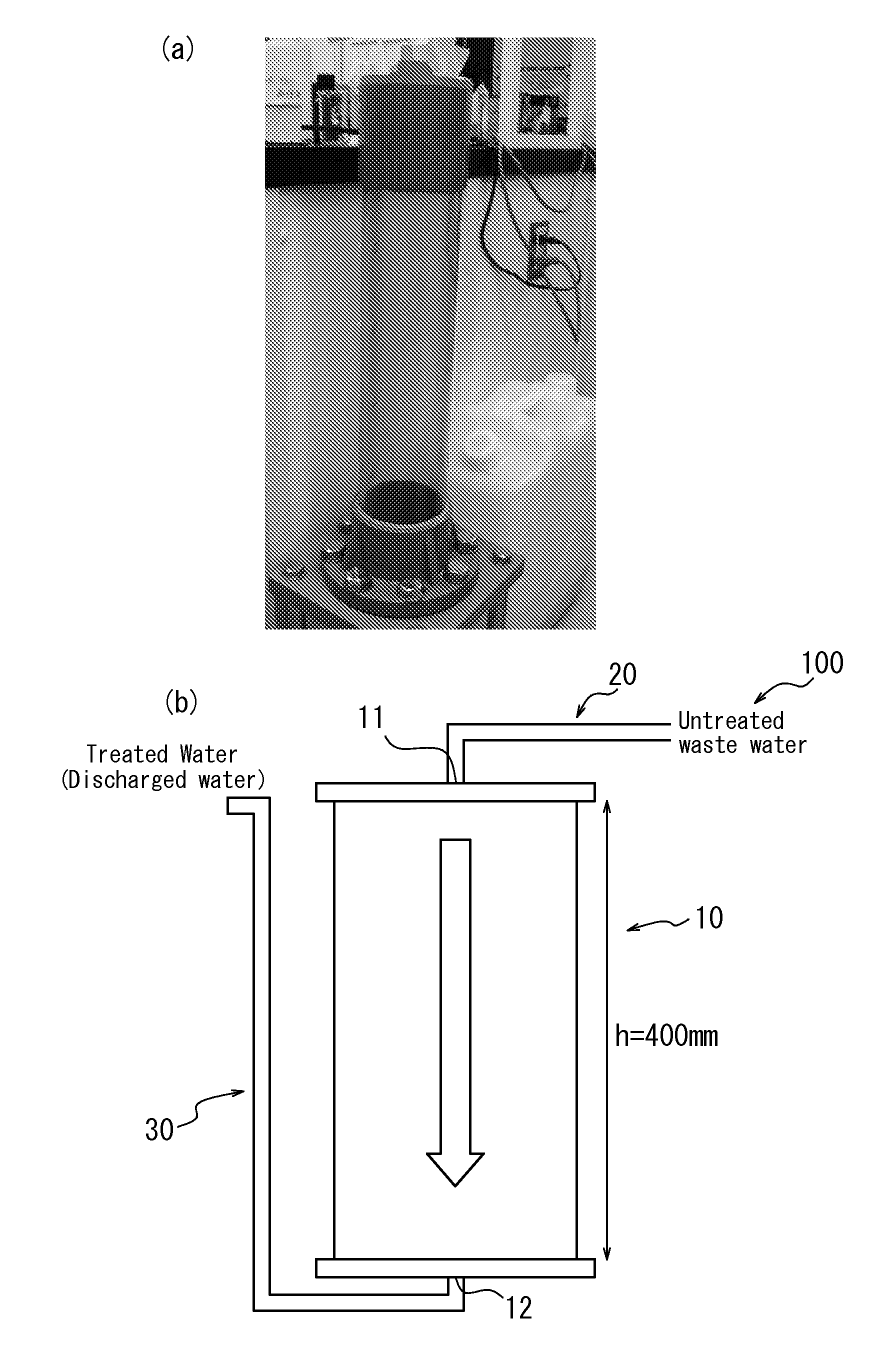 Biological purifier, biological purification system, and biological purification method for untreated waste water