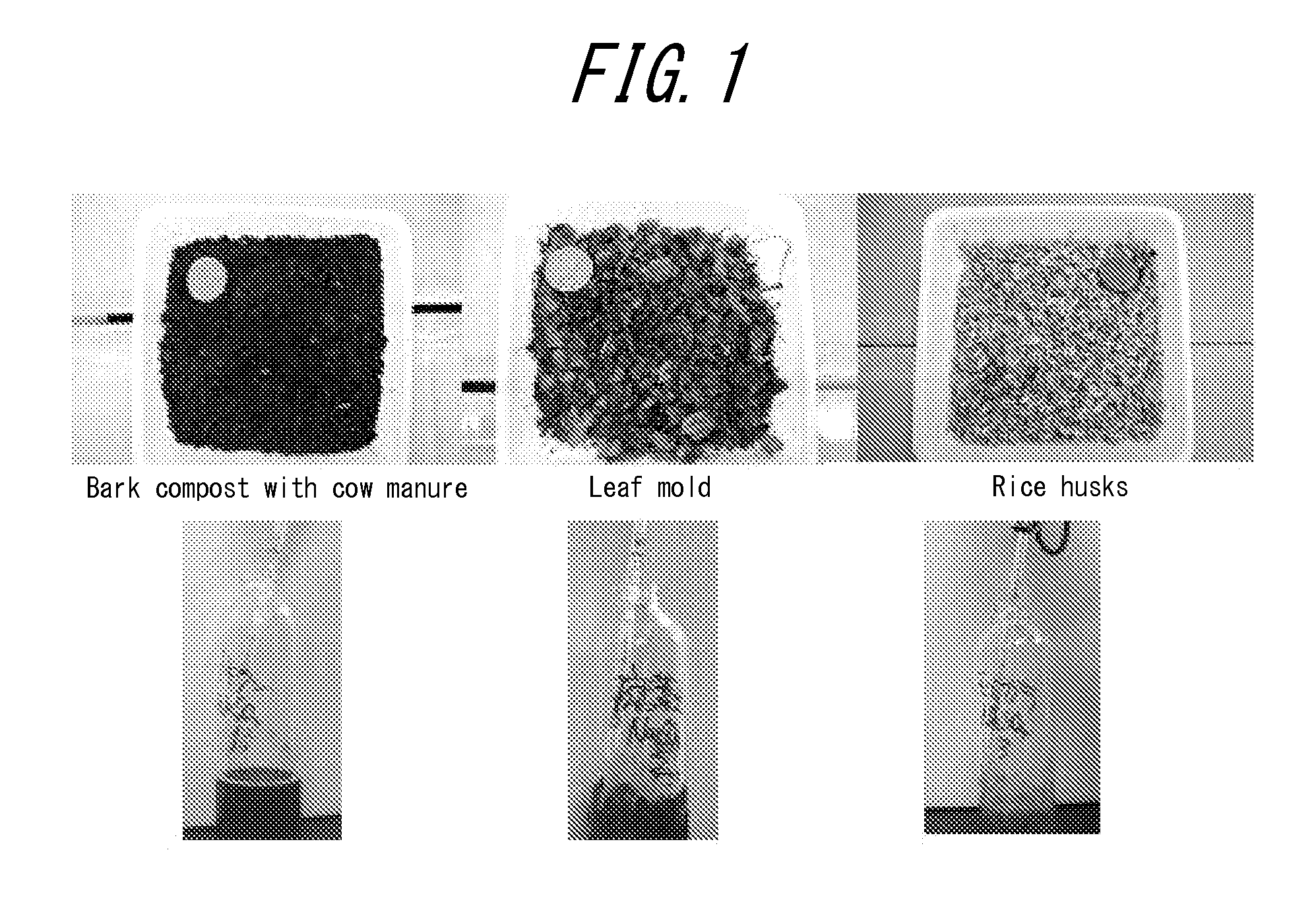 Biological purifier, biological purification system, and biological purification method for untreated waste water