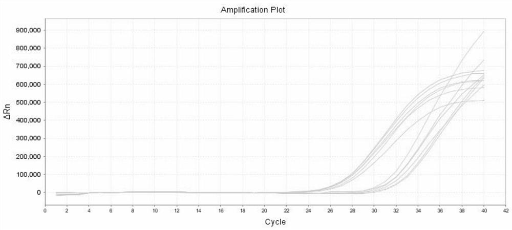 Kit for extracting viral nucleic acid and extraction method