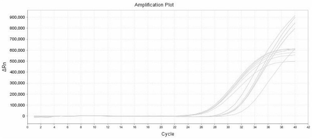 Kit for extracting viral nucleic acid and extraction method