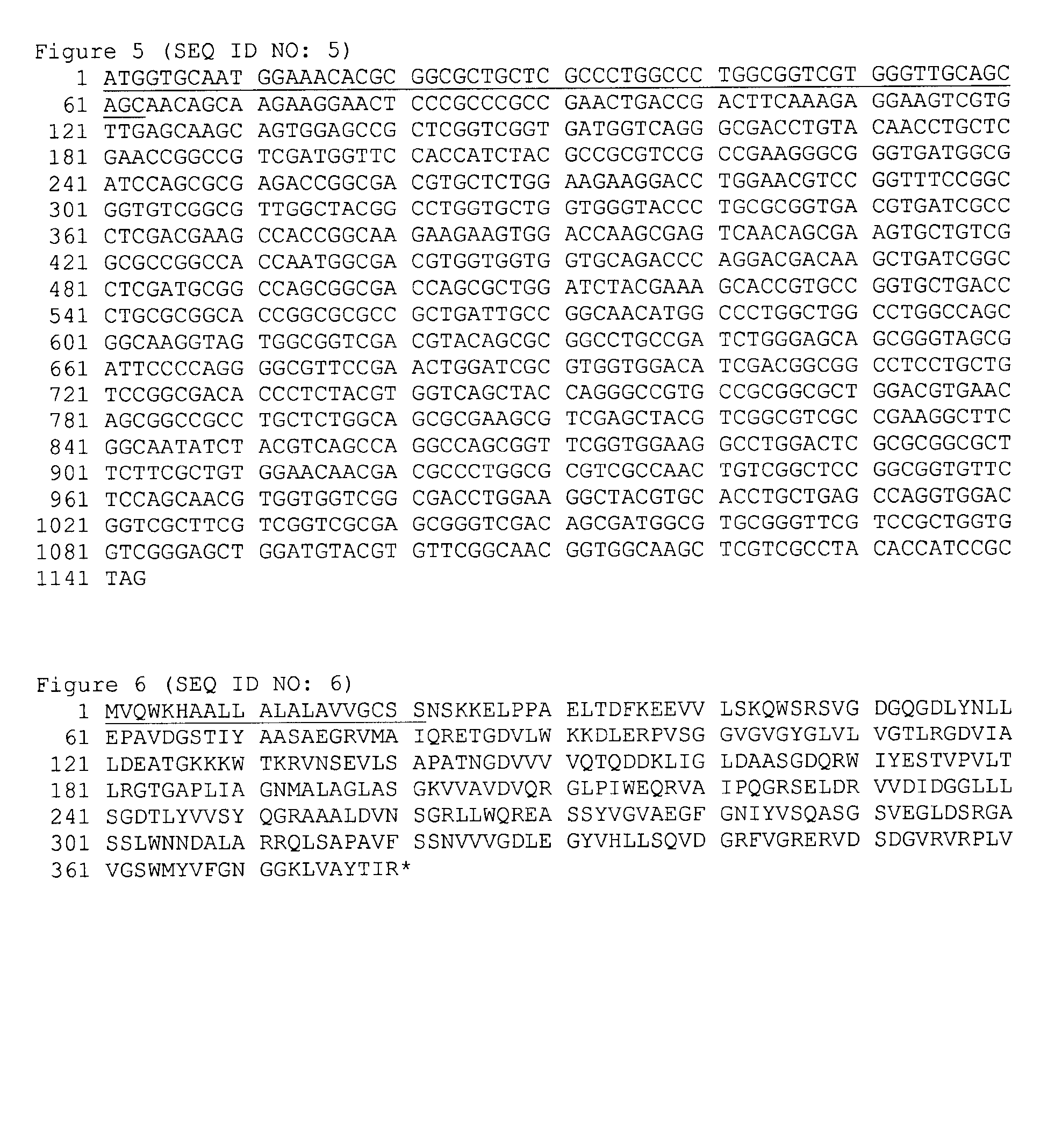 Polypeptides of Pseudomonas aeruginosa