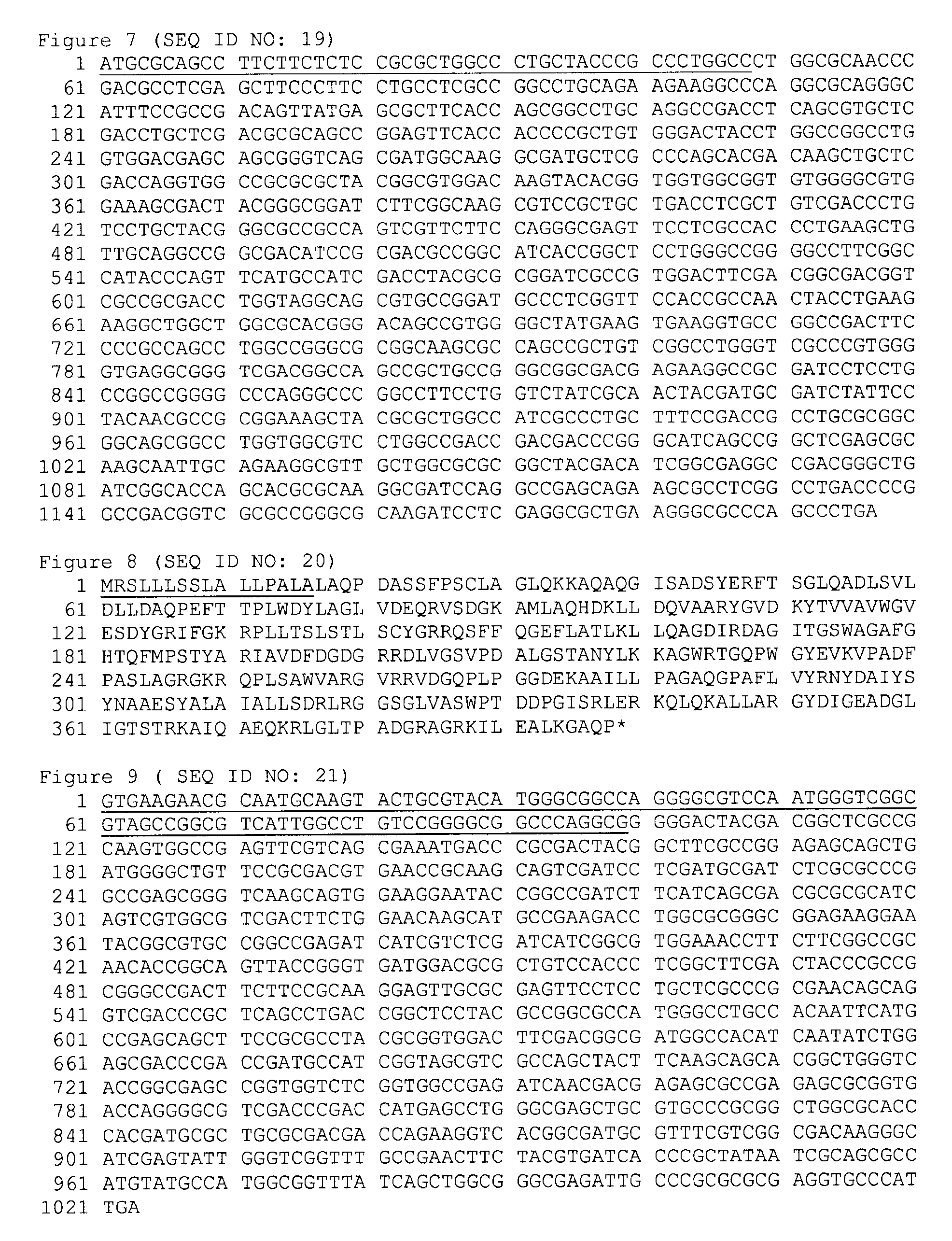 Polypeptides of Pseudomonas aeruginosa