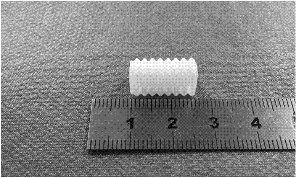 Degradable and extratracheal outer suspending support and indirect 3D printing method thereof