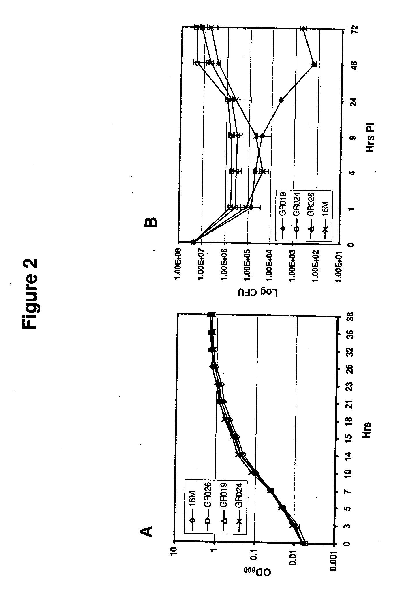 Brucella melitensis mutants and methods