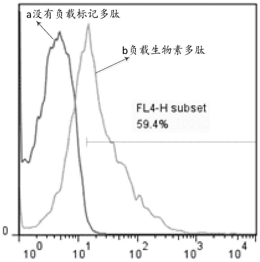 a rff2 cell