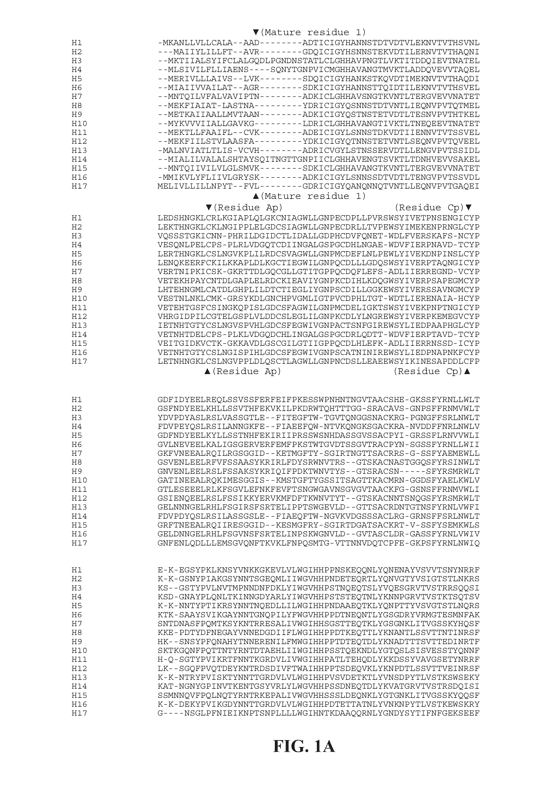 Influenza virus vaccines and uses thereof