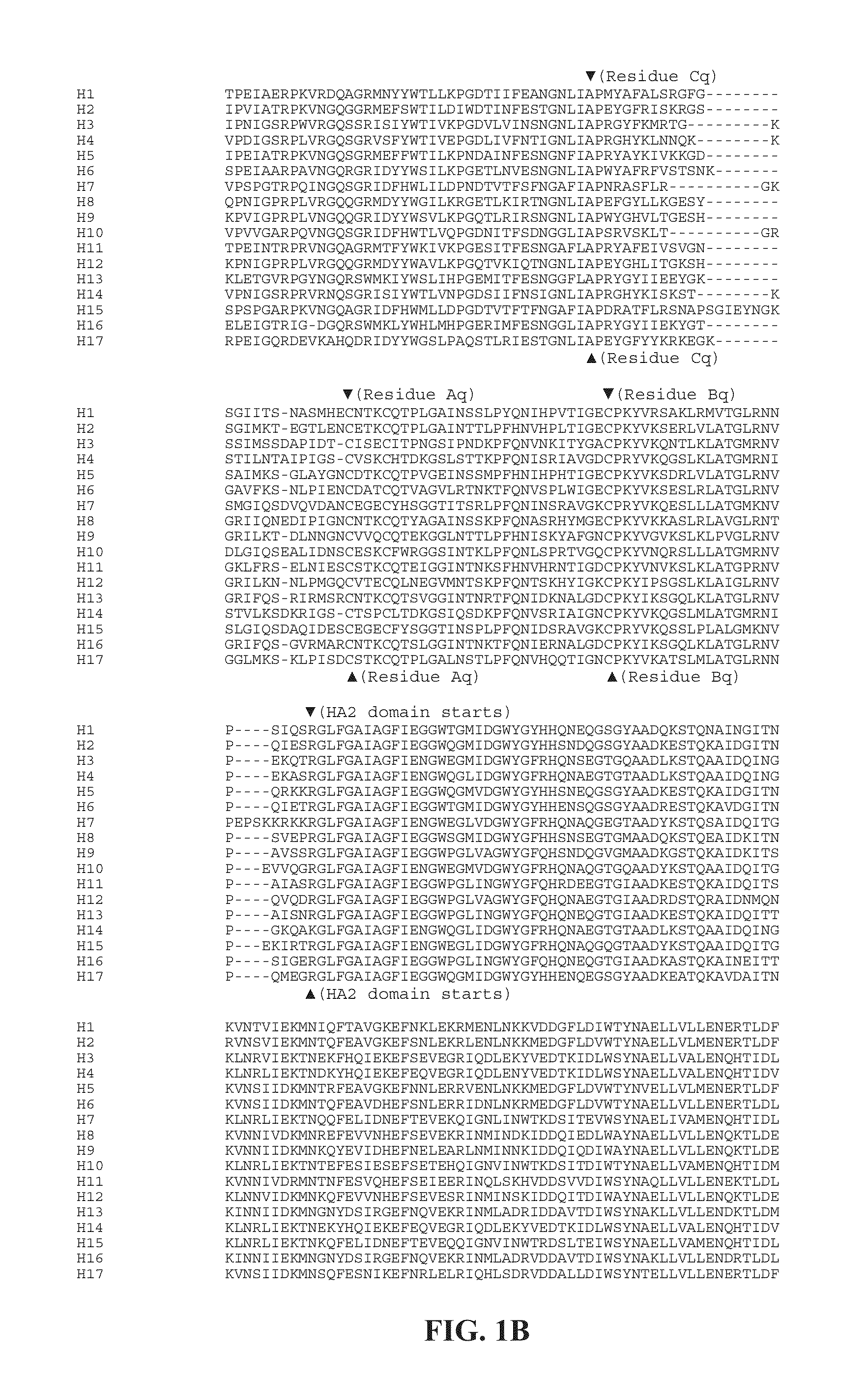 Influenza virus vaccines and uses thereof