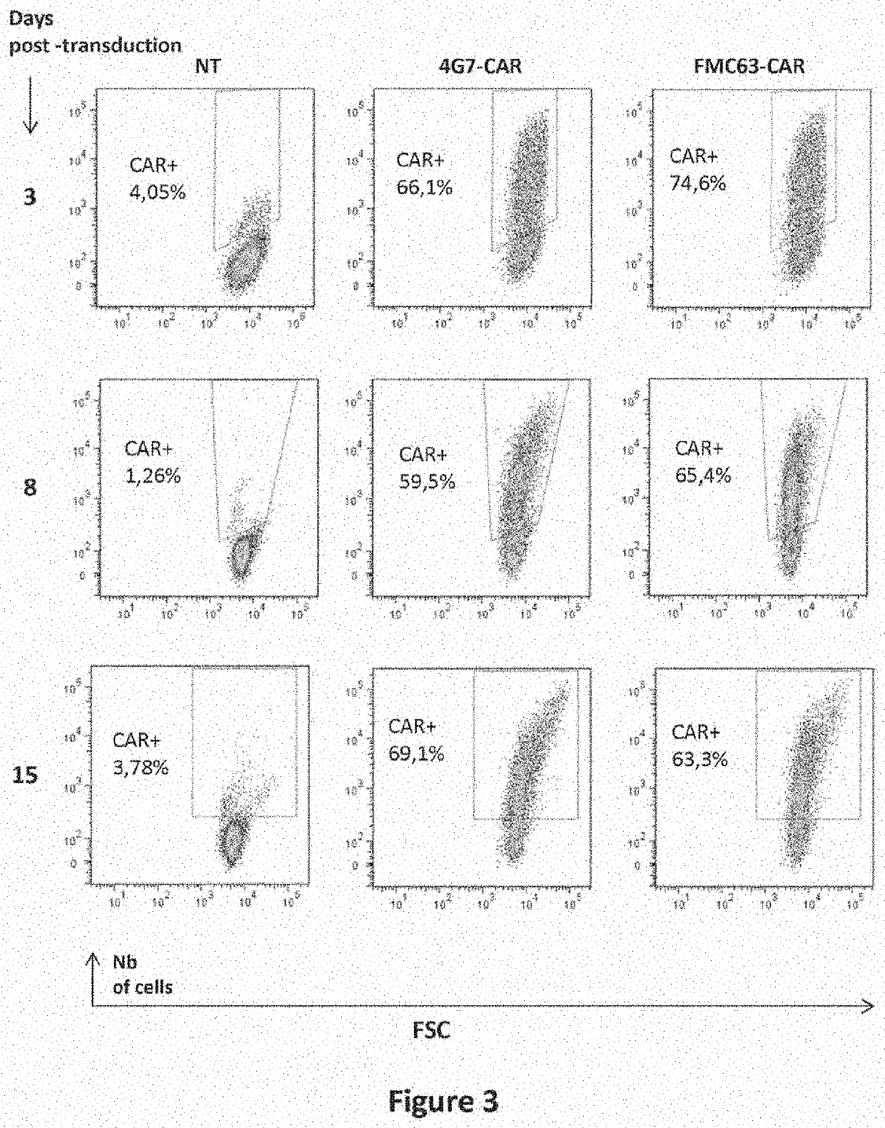 Cd19 specific chimeric antigen receptor and uses thereof