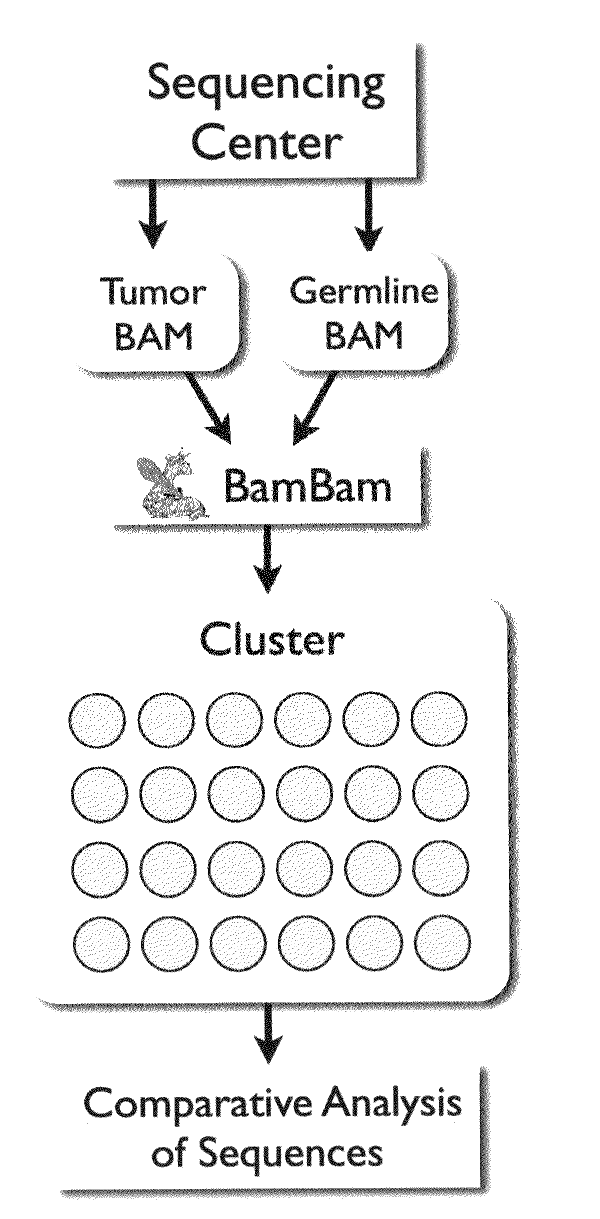Bambam: parallel comparative analysis of high-throughput sequencing data