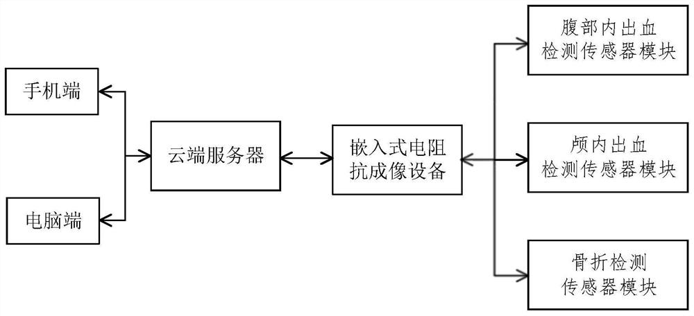 Portable human body closed injury electrical impedance tomography detecting equipment adopting modular design