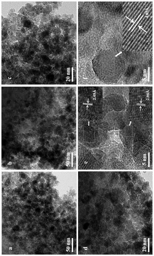 Treatment and application method of nut waste