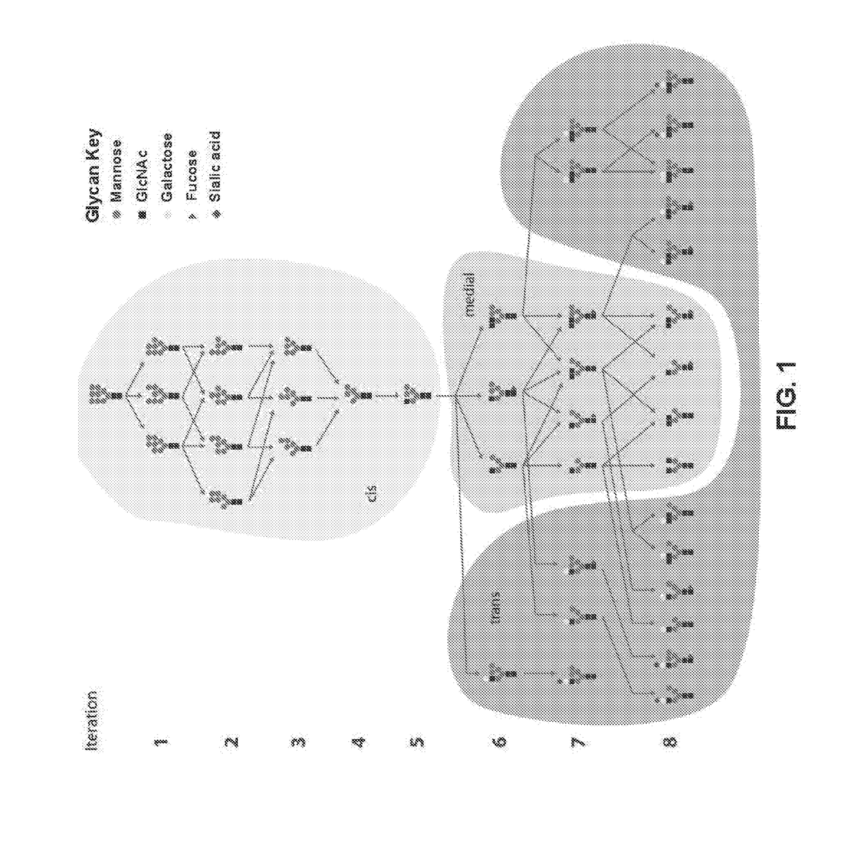 Systems and Methods for Predicting Glycosylation on Proteins